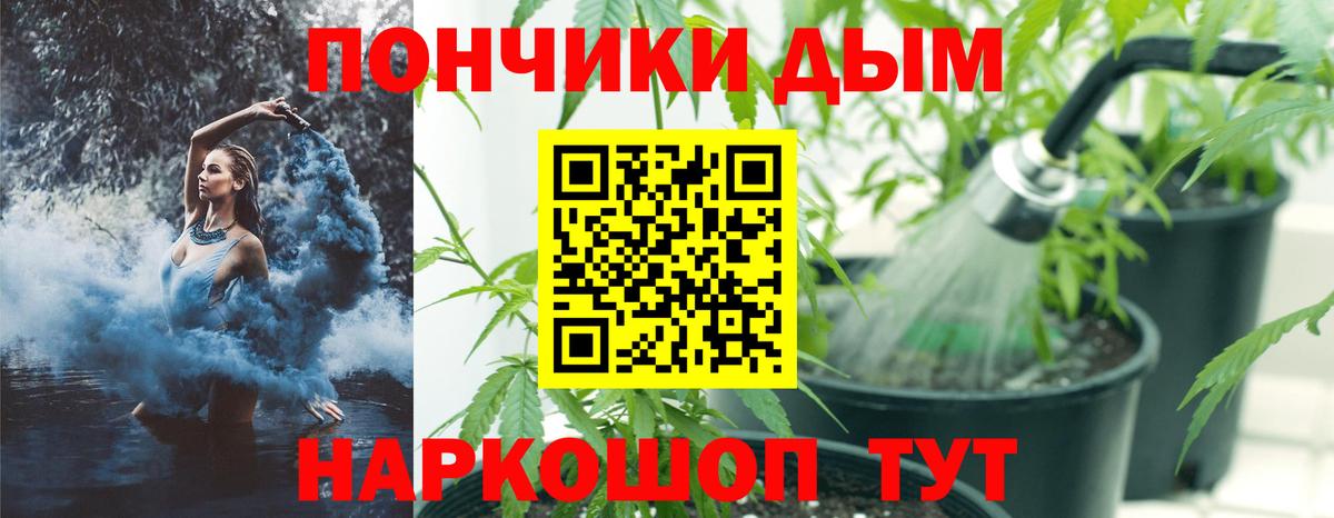 Марихуана ГИДРОПОН  Канабис OG Kush  Таганрог  Марихуана конопля  МАРИХУАНА OG Kush  Вход с VPN 